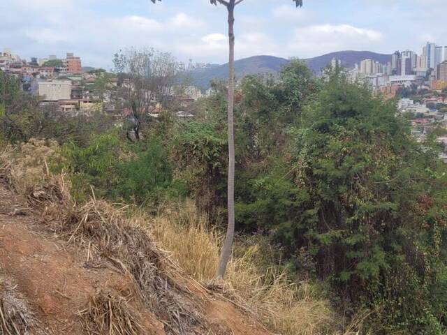 Lote para Venda em Belo Horizonte - 5