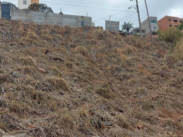 Lote para Venda em Belo Horizonte - 4